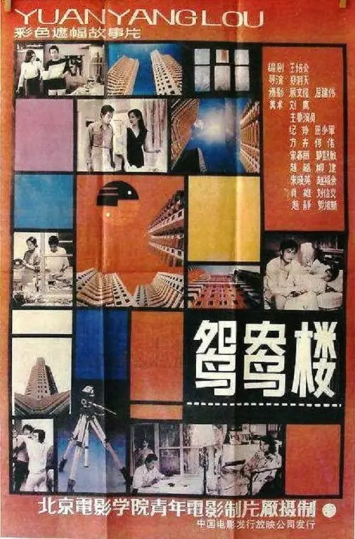 Movie poster "The Young Couple Apartment"