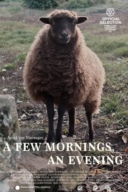 Movie poster "a Few Mornings, an Evening"