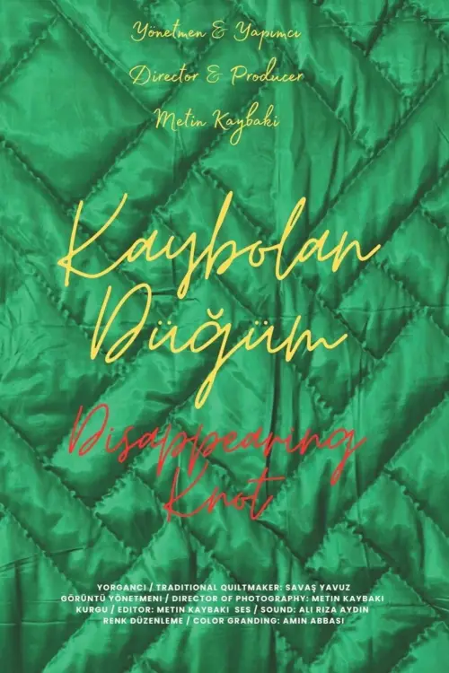 Movie poster "Disappearing Knot"