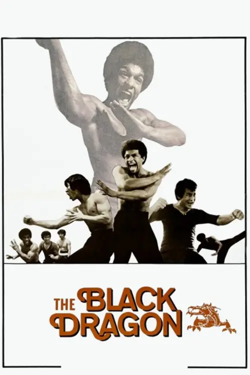 Movie poster "The Black Dragon"