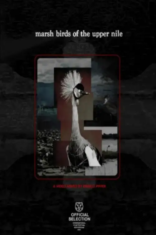 Movie poster "Marsh Birds of the Upper Nile"