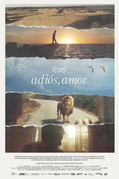 Movie poster "Goodbye, Love"