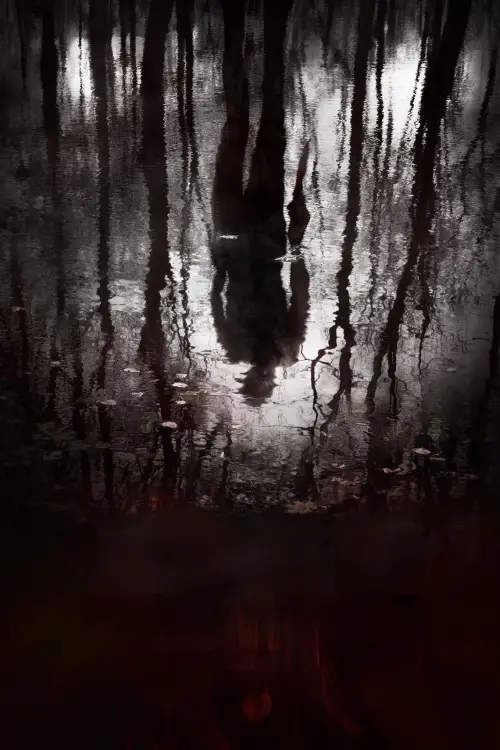 Movie poster "The Pool"