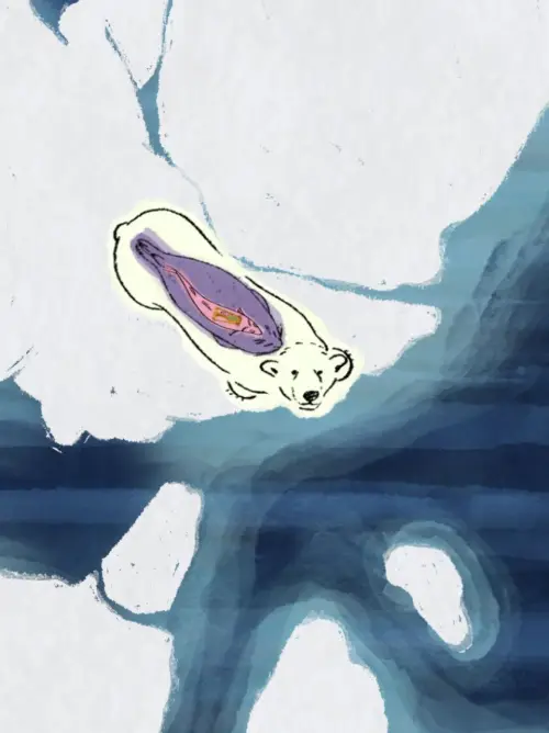 Movie poster "Arctic Shifts"
