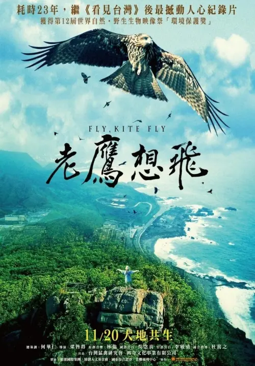 Movie poster "Fly, Kite Fly"