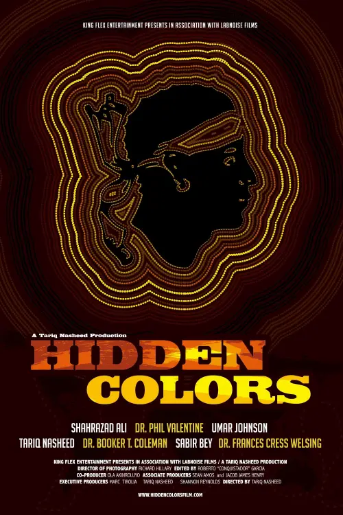 Movie poster "Hidden Colors"