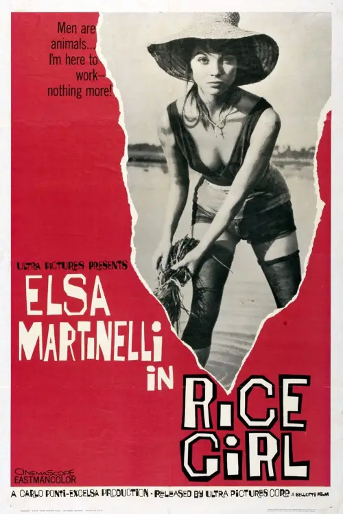 Movie poster "Rice Girl"