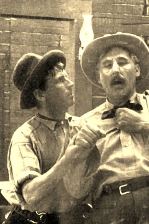 Movie poster "The Stage Driver