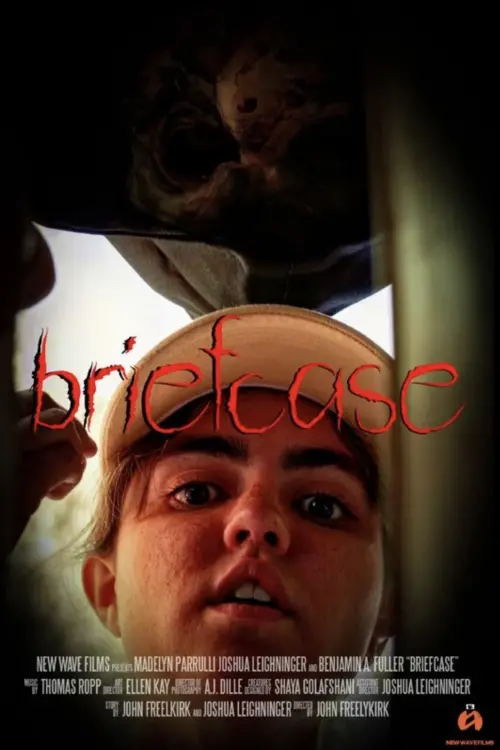 Movie poster "Briefcase"
