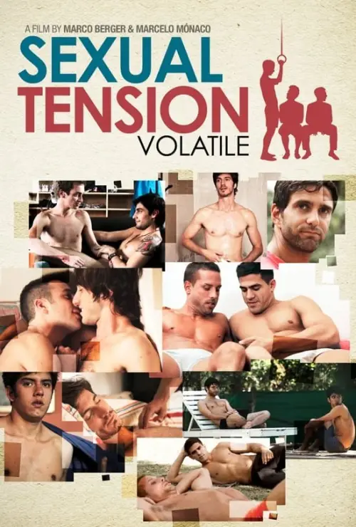 Movie poster "Sexual Tension: Volatile"