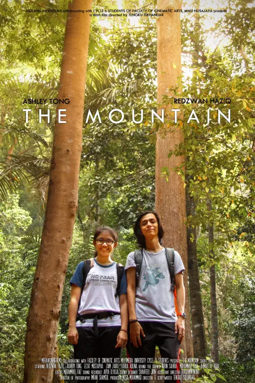 Movie poster "The Mountain"