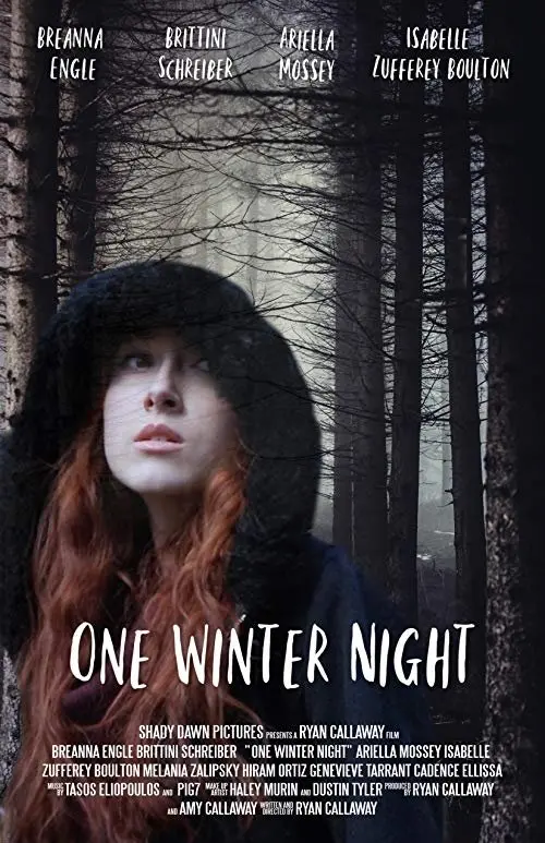 Movie poster "One Winter Night"