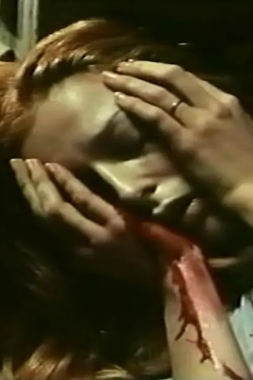 Movie poster "The Broken Mirror"