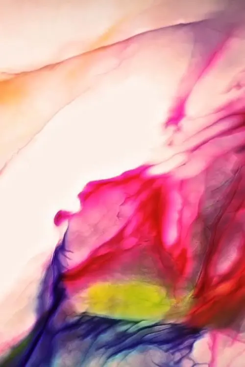 Movie poster "sfumato"