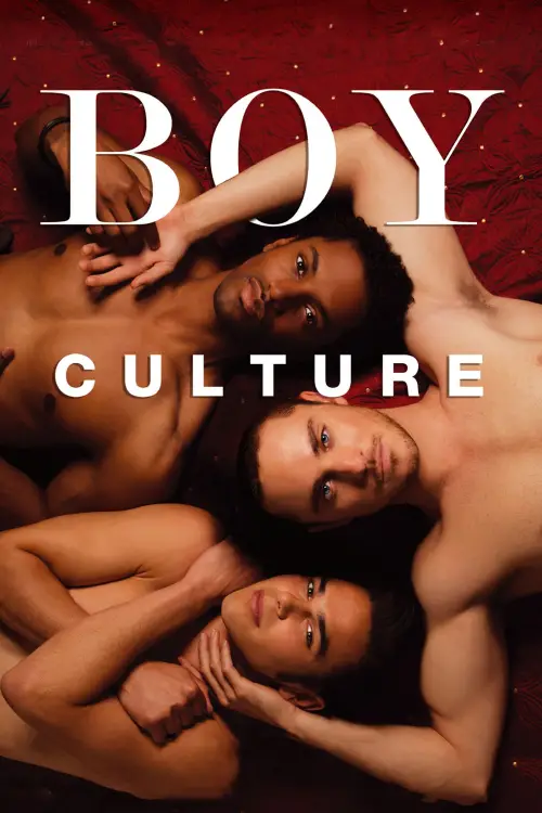 Movie poster "Boy Culture"