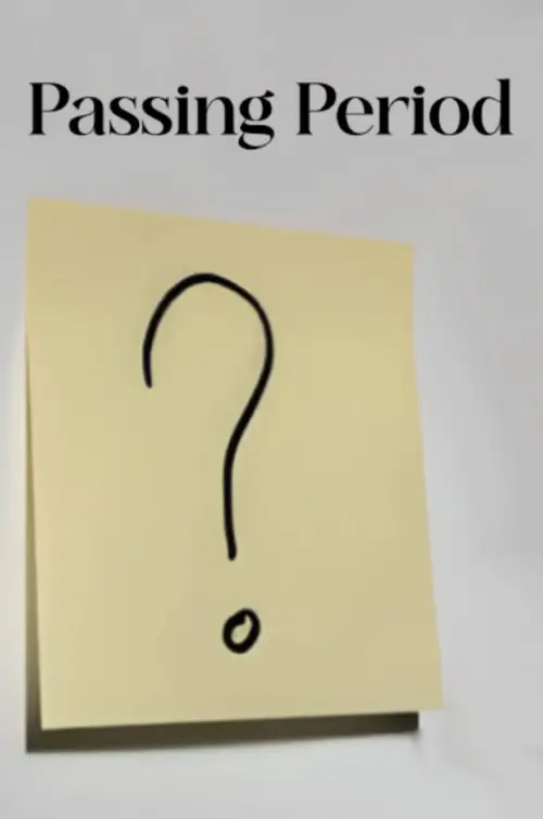 Movie poster "Passing Period"