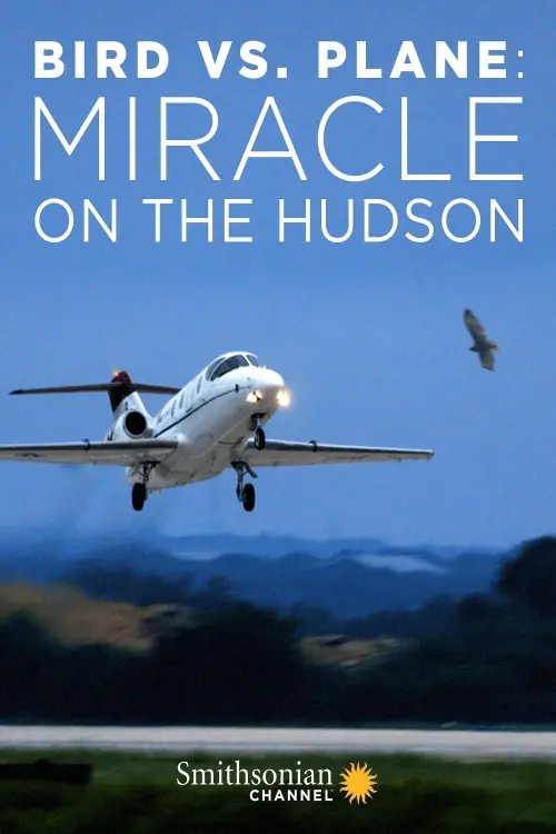 Movie poster "Bird vs. Plane: Miracle on the Hudson"