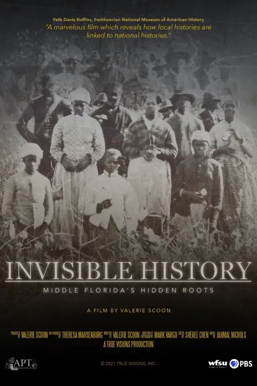 Movie poster "Invisible History: Middle Florida