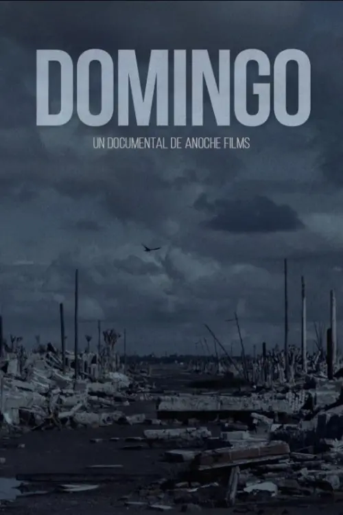Movie poster "Domingo"