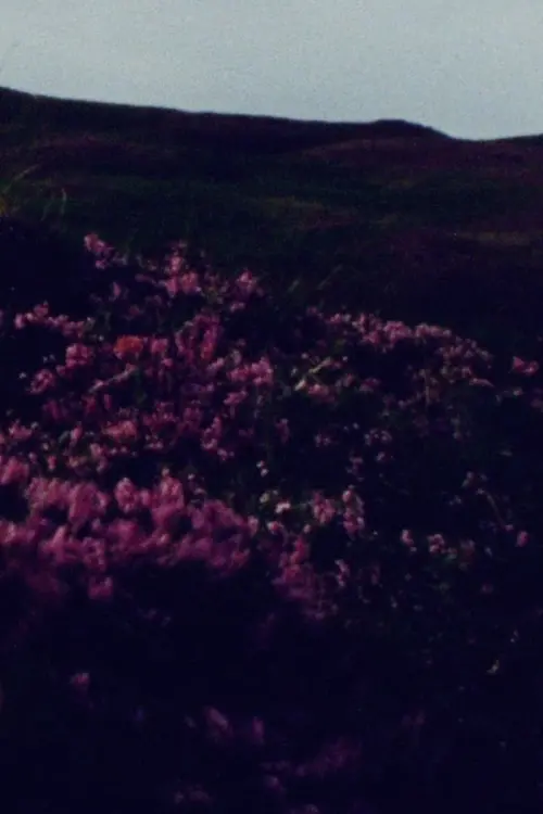 Movie poster "barrunto"