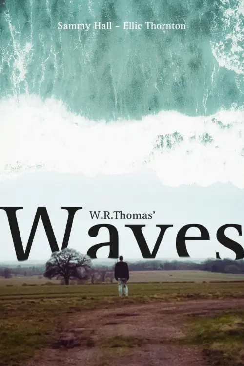 Movie poster "Waves"