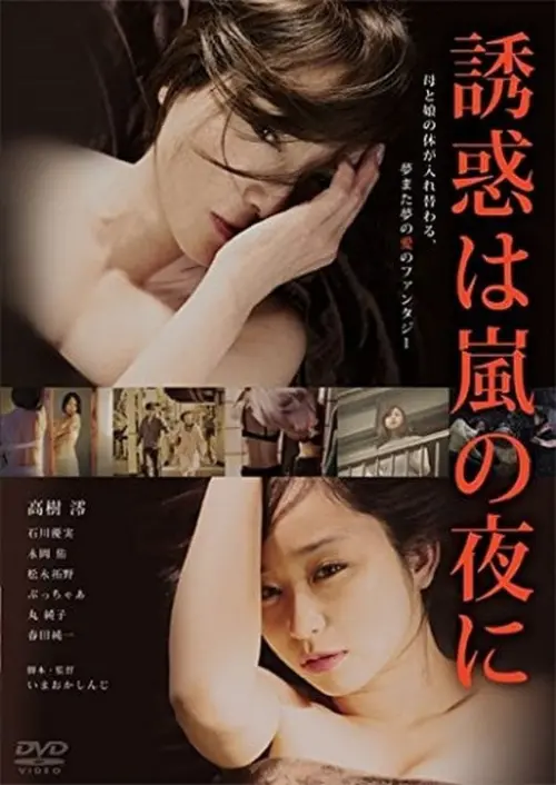 Movie poster "The Temptation Came at Stormy Night"
