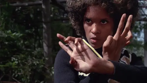 Watch film TNT Jackson | David DeCoteau on TNT Jackson