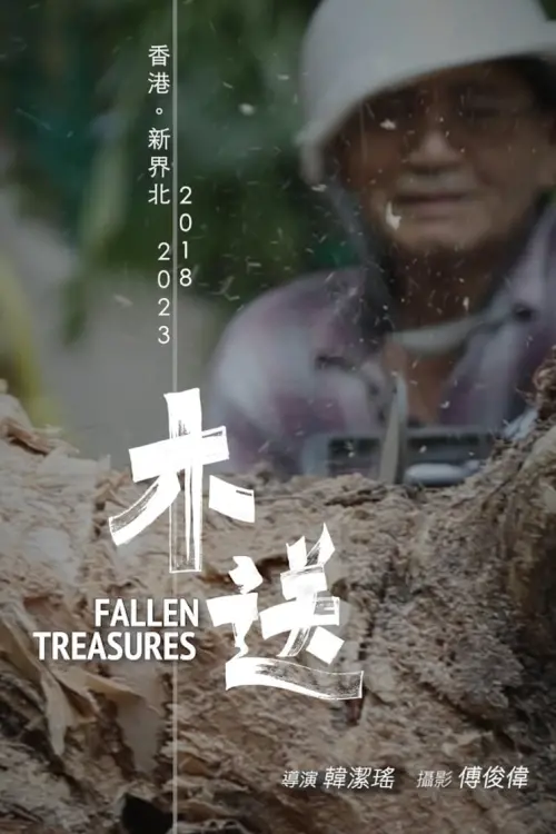 Movie poster "Fallen Treasures"