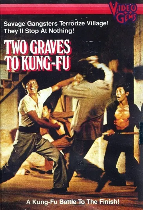 Movie poster "Two Graves To Kung Fu"