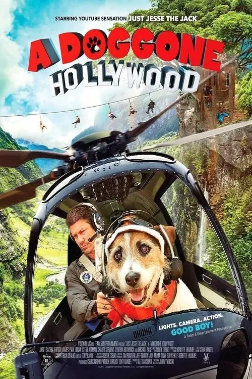 Movie poster "A Doggone Hollywood"