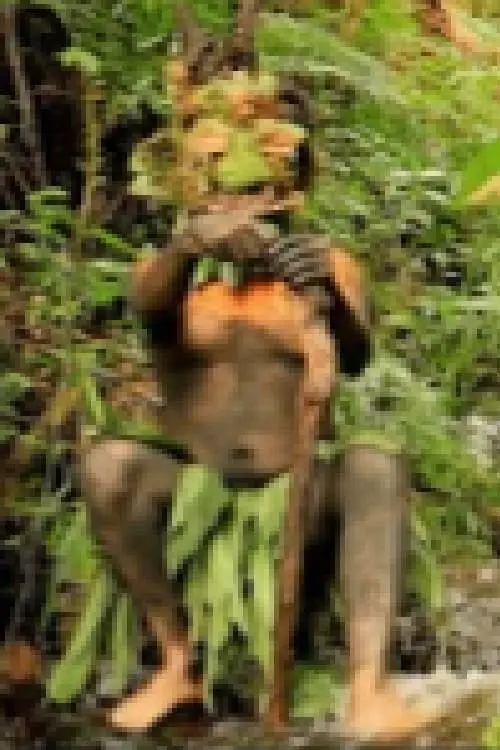 Movie poster "Un Dios del bosque"