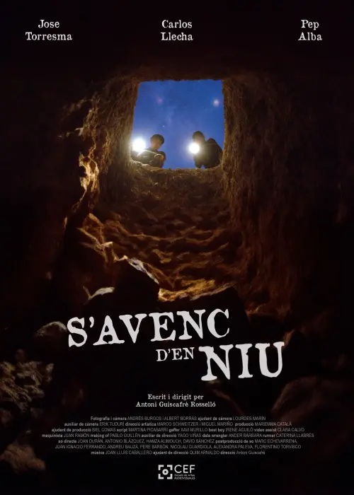 Movie poster "S