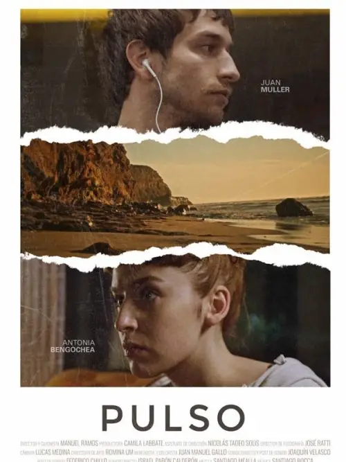 Movie poster "Pulse"
