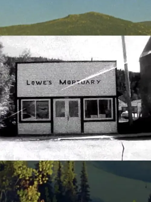 Movie poster "Tourist Town"