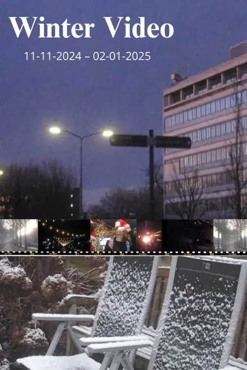 Movie poster "Winter Video"