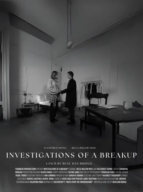Movie poster "Investigations of a Breakup"