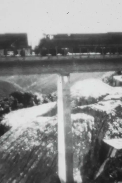 Movie poster "third mountain"