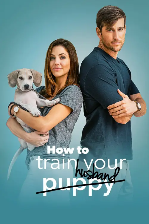 Movie poster "How to Train Your Husband"