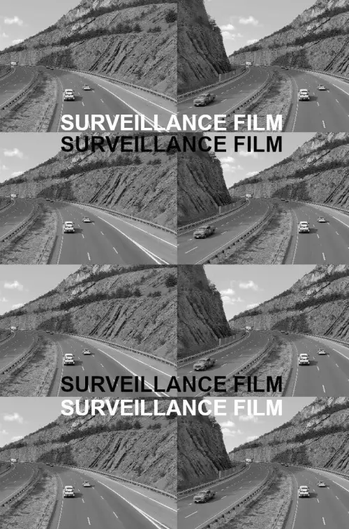 Movie poster "Surveillance Film"
