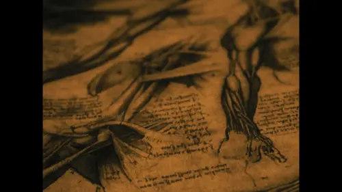 Watch film Your Skin | TU PIEL (Cortometraje)