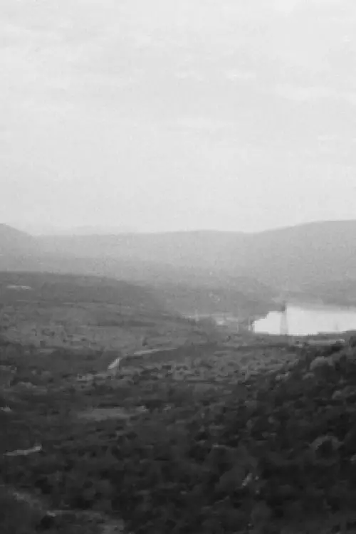 Movie poster "Interference"