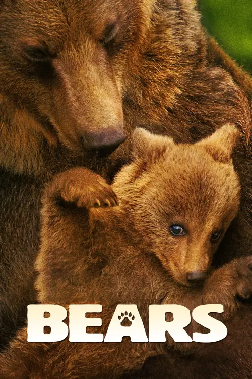 Movie poster "Bears"