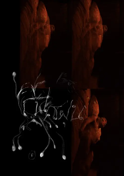 Movie poster "The Sound of Devouring Dust"