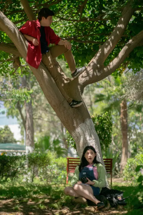 Movie poster "Summer of Tomorrow"