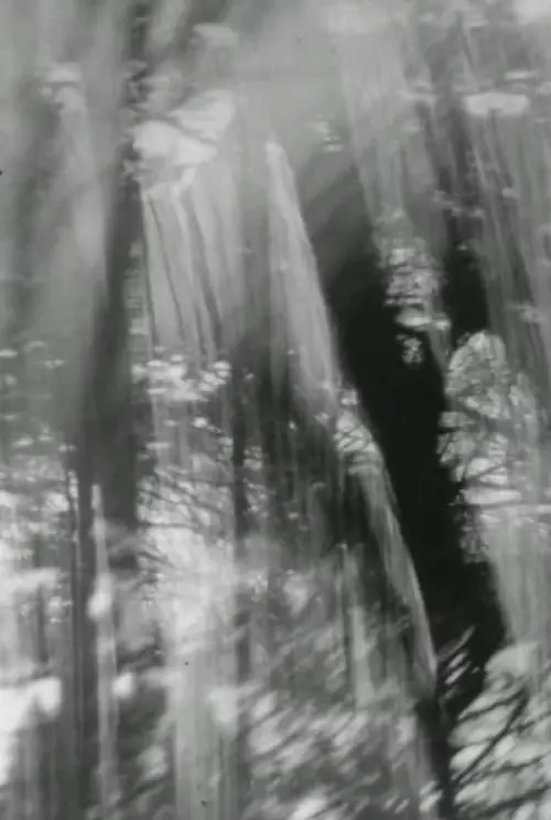 Movie poster "ULÍA #2"