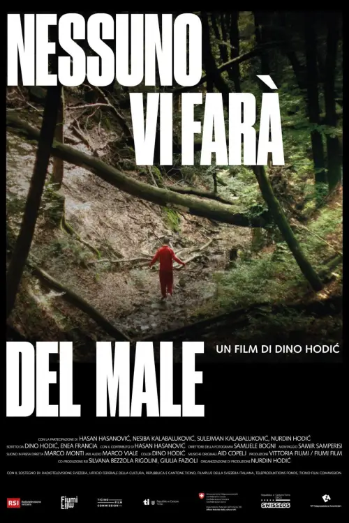 Movie poster "No One Will Hurt You"