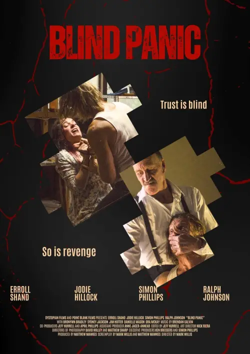 Movie poster "Blind Panic"