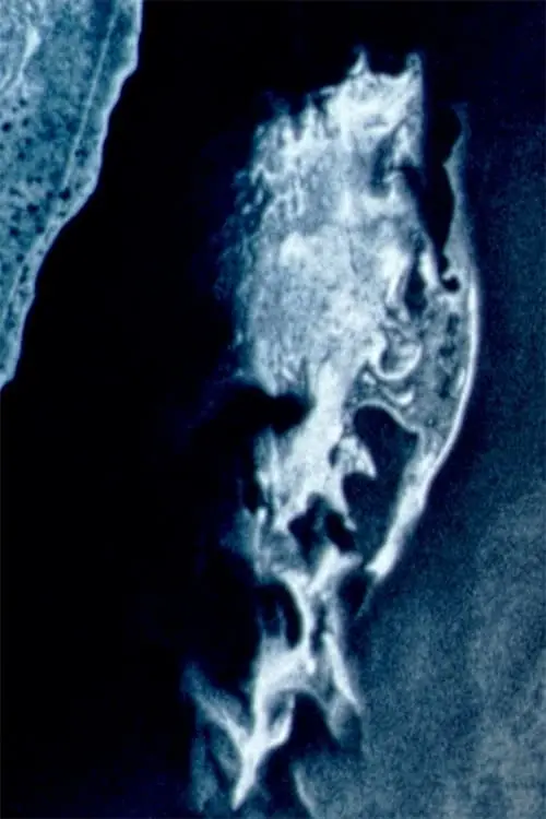 Movie poster "Man of Aral"