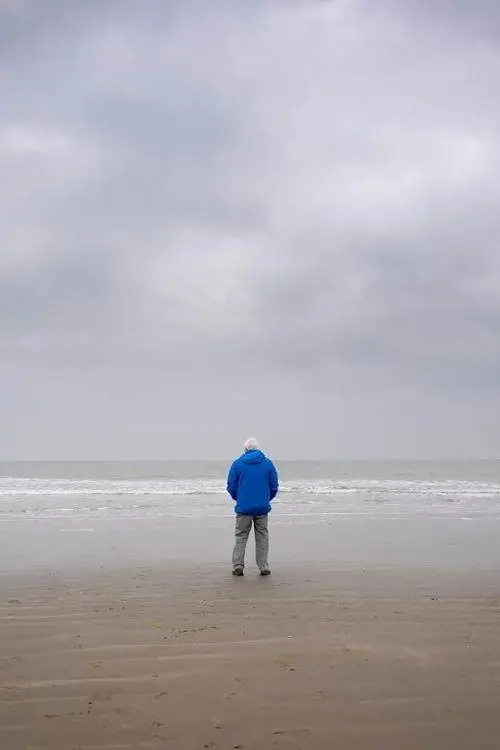 Movie poster "Ocean with David Attenborough"