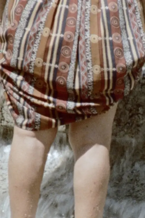 Movie poster "Fuente Alemana"